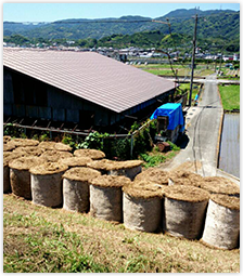 天然素材の梱包用ベールネット